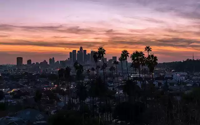 Los Angeles Skyline  from Chrome web store to be run with OffiDocs Chromium online