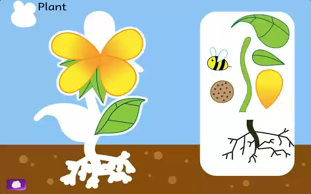 Naming Parts of Animals and Plants from Chrome web store to be run with OffiDocs Chromium online Naming Parts of Animals and Plants from Chrome web store to be run with OffiDocs Chromium online