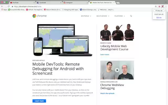 Pinem All  from Chrome web store to be run with OffiDocs Chromium online