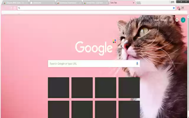 Medyo Pink mula sa Chrome web store na tatakbo sa OffiDocs Chromium online