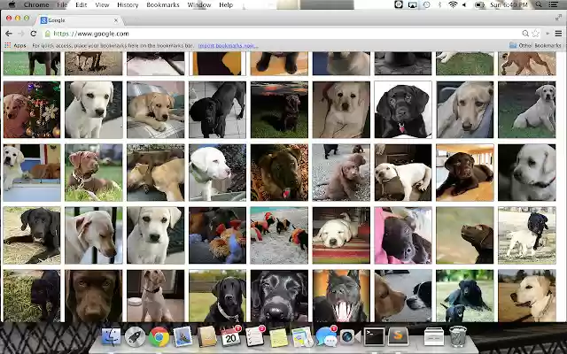 Puppy Overload from Chrome web store to be run with OffiDocs Chromium online Puppy Overload from Chrome web store to be run with OffiDocs Chromium online