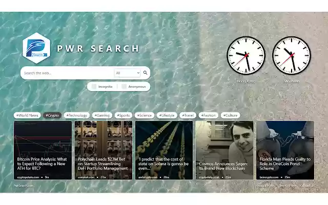 PwrSearch  from Chrome web store to be run with OffiDocs Chromium online