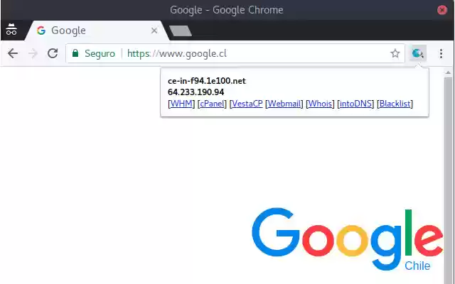 来自 Chrome 网上商店的 rDNS 将与 OffiDocs Chromium 在线一起运行