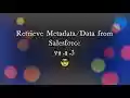 Retrieve Metadata/Data from Salesforce  from Chrome web store to be run with OffiDocs Chromium online