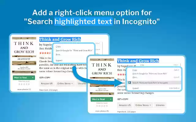 Right Click Search Incognito  from Chrome web store to be run with OffiDocs Chromium online