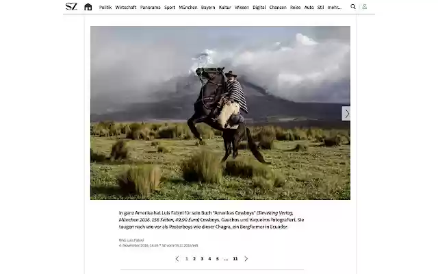 Süddeutsche / n tv Bildergalerie Navigation  from Chrome web store to be run with OffiDocs Chromium online