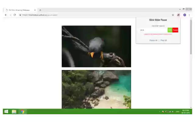 Slick slider pause  from Chrome web store to be run with OffiDocs Chromium online