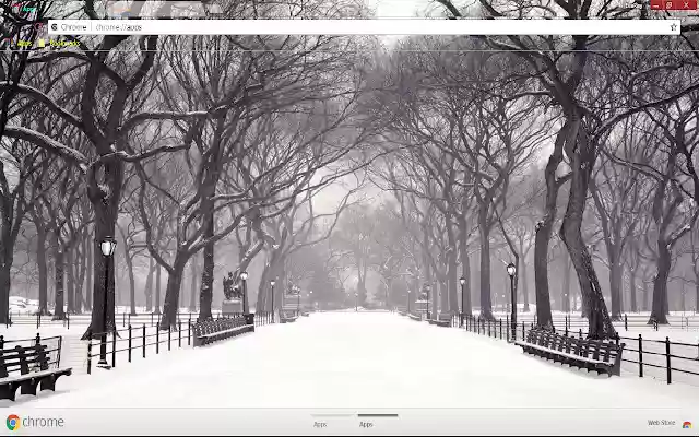 Snow Earth Winter1366*768  from Chrome web store to be run with OffiDocs Chromium online