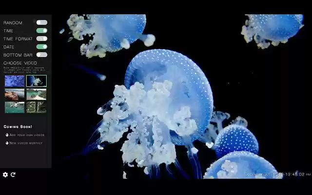 Splendid from Chrome web store to be run with OffiDocs Chromium online Splendid from Chrome web store to be run with OffiDocs Chromium online