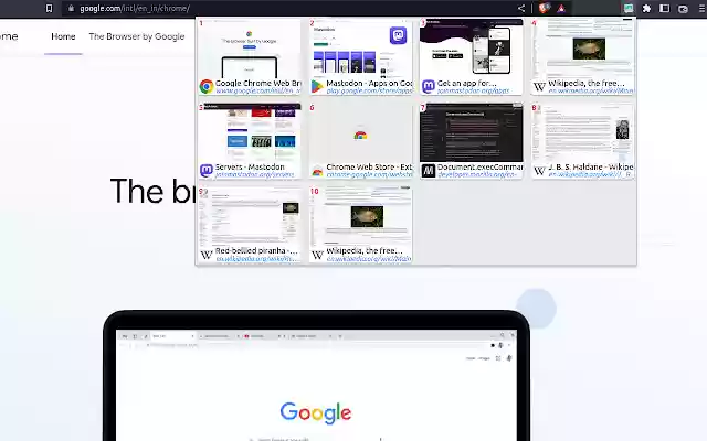 tabSummary thumbnail switcher  from Chrome web store to be run with OffiDocs Chromium online