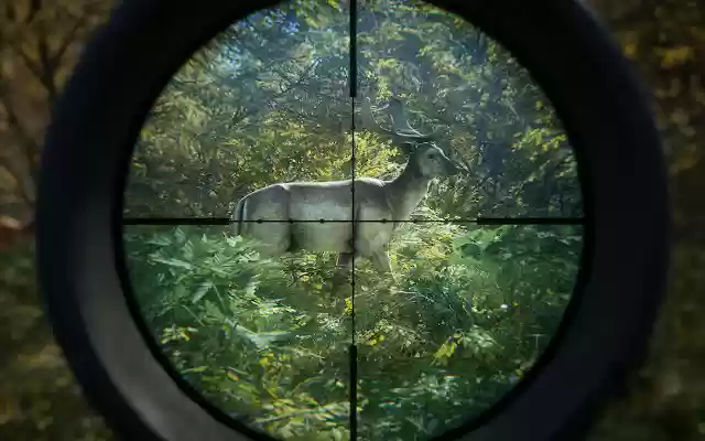 theHunter: Call of The Wild من متجر Chrome الإلكتروني ليتم تشغيله مع OffiDocs Chromium عبر الإنترنت