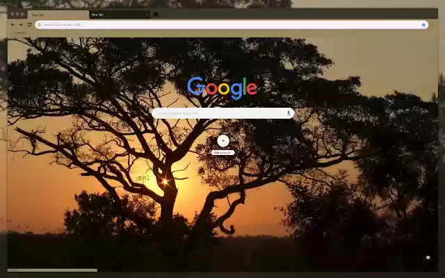 Trees in the sunset  from Chrome web store to be run with OffiDocs Chromium online