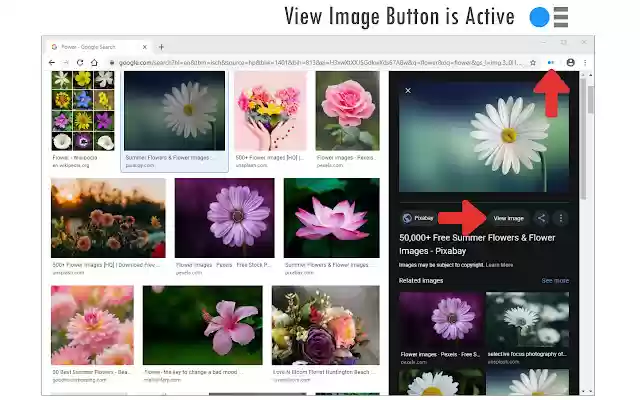 View Image Button  from Chrome web store to be run with OffiDocs Chromium online