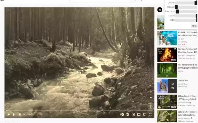 YouTube color adjust  from Chrome web store to be run with OffiDocs Chromium online