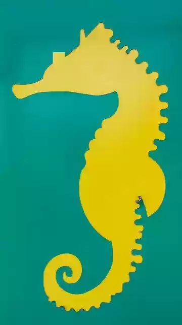 Free download Sea Horse Hippocampus Street Art -  free illustration to be edited with GIMP free online image editor