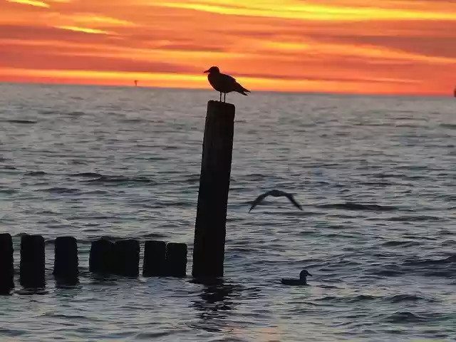 免费下载海上日落 Abendstimmung - 使用 GIMP 在线图像编辑器编辑的免费照片或图片