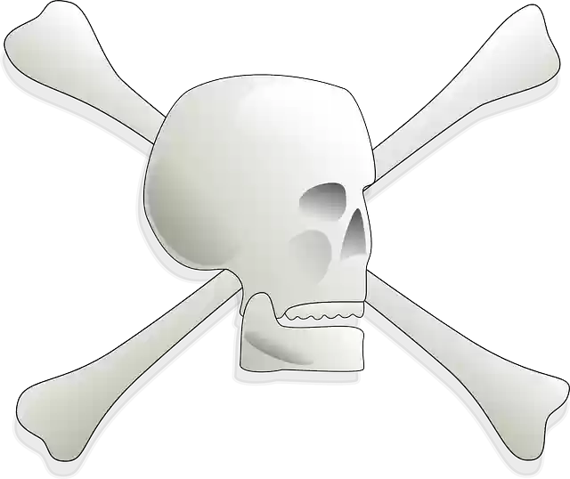 Free download Skull Bones Poison - Free vector graphic on Pixabay free illustration to be edited with GIMP free online image editor