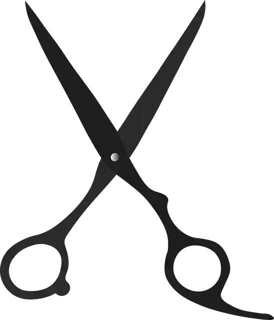 دانلود رایگان Small Scissors Tailor - گرافیک وکتور رایگان در تصویر رایگان Pixabay برای ویرایش با ویرایشگر تصویر آنلاین رایگان GIMP