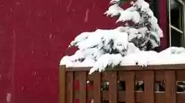 دانلود رایگان Snow Winter Tree - عکس یا تصویر رایگان قابل ویرایش با ویرایشگر تصویر آنلاین GIMP