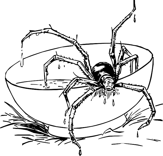 Free download Spider Bowl Black And White - Free vector graphic on Pixabay free illustration to be edited with GIMP free online image editor