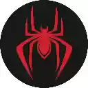 Spider Search  screen for extension Chrome web store in OffiDocs Chromium