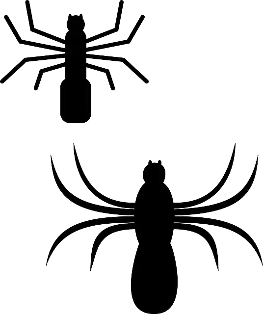 Free download Spider Silhouette Bugs - Free vector graphic on Pixabay free illustration to be edited with GIMP free online image editor