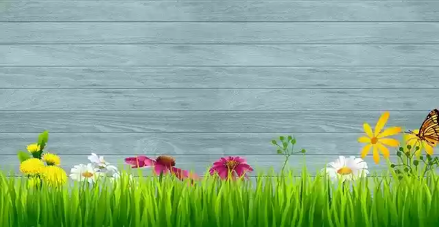 Free download Spring Background Wallpaper -  free illustration to be edited with GIMP free online image editor