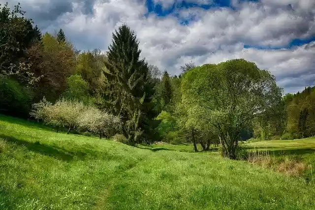 Descărcare gratuită spring green hdr nature summer poza gratuită pentru a fi editată cu editorul de imagini online gratuit GIMP