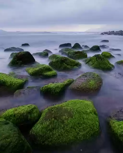 Free download stone sea wave country moss reef free picture to be edited with GIMP free online image editor