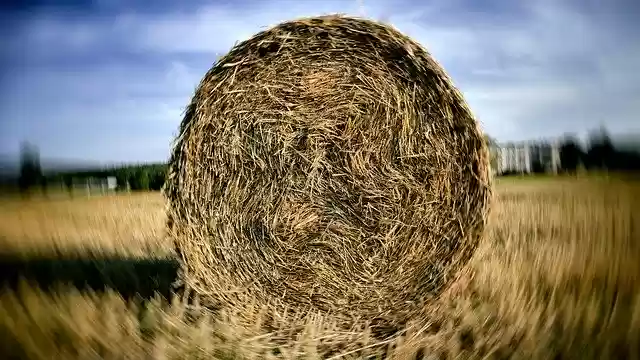 Free download Straw Bales Balotować -  free photo or picture to be edited with GIMP online image editor