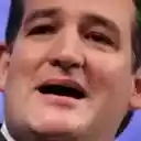 Ted Cruz, A Oil Liker  screen for extension Chrome web store in OffiDocs Chromium