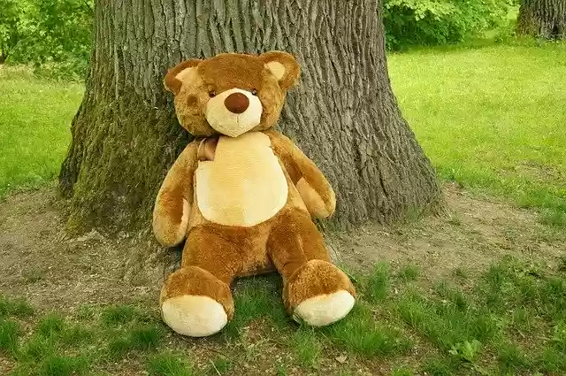 Free download Teddy Bear Plush Nature -  free photo or picture to be edited with GIMP online image editor