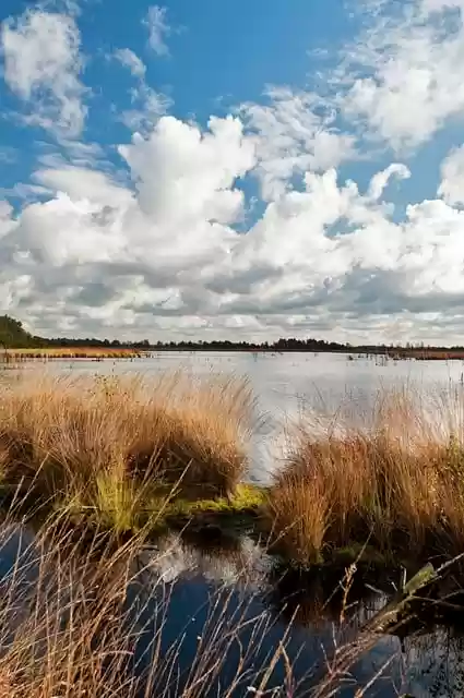 Free download teufelsmoor moor lower saxony fall free picture to be edited with GIMP free online image editor