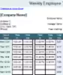 Free download Time Sheet with Breaks DOC, XLS or PPT template free to be edited with LibreOffice online or OpenOffice Desktop online