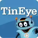 TinEye Reverse Image Search  screen for extension Chrome web store in OffiDocs Chromium