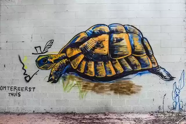 Free download Turtle Graffiti Mural -  free photo or picture to be edited with GIMP online image editor