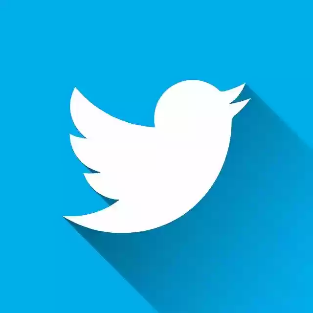 Free download Twitter Logo -  free illustration to be edited with GIMP free online image editor