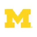 University of Michigan Theme  screen for extension Chrome web store in OffiDocs Chromium