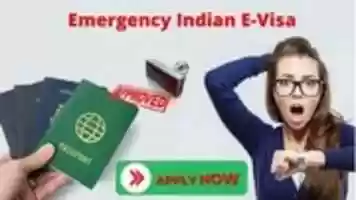 Free download Urgent Indian Visa free photo or picture to be edited with GIMP online image editor