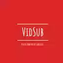 VidSub  screen for extension Chrome web store in OffiDocs Chromium