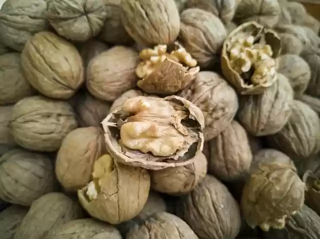 Gratis download Walnut Dried Fruits And Nuts Shell - gratis foto of afbeelding om te bewerken met GIMP online image editor