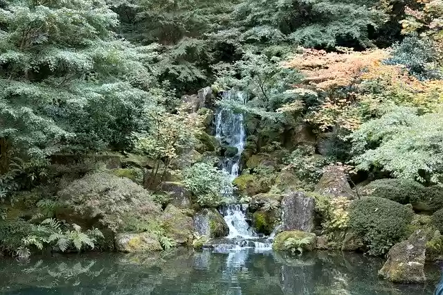 Free download Waterfall Green Nature -  free photo or picture to be edited with GIMP online image editor