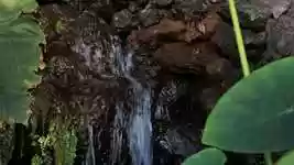 Free download Water Spring Sound Calm free video to be edited with OpenShot online video editor