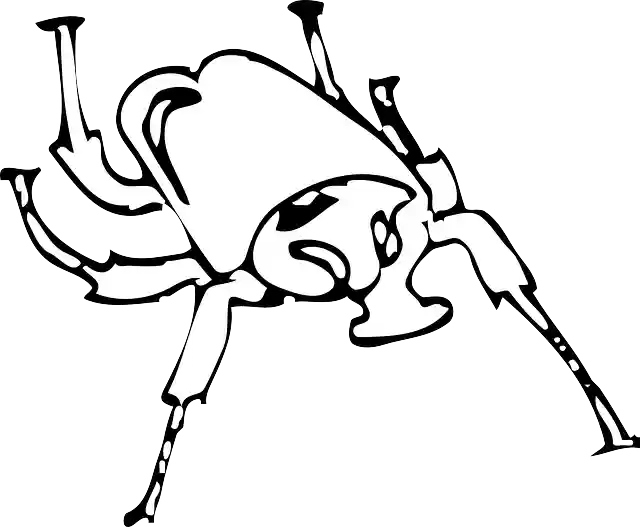 Free download Wings Insect Beetle - Free vector graphic on Pixabay free illustration to be edited with GIMP free online image editor