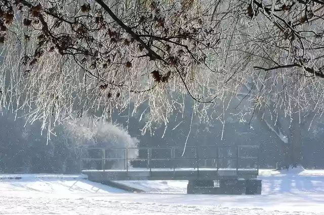 Безкоштовно завантажити Winter Frost Park У безкоштовному шаблоні фотографій для редагування в онлайн-редакторі зображень GIMP