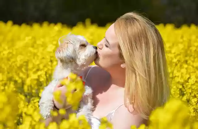 Free download woman dog love kiss free picture to be edited with GIMP free online image editor